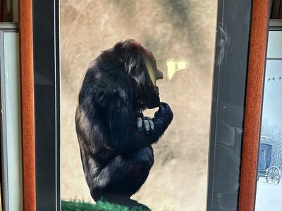 Howie Garber Thinking Gorilla Framed Artwork