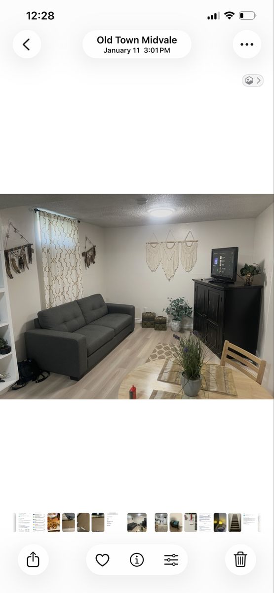 Living Spaces Couch