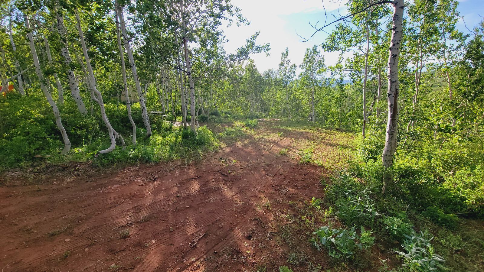 Sourdough Ranch Lot for Sale