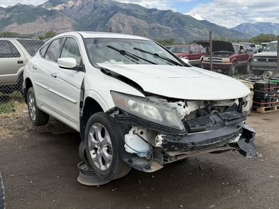 2010 Honda Accord Crosstour Parts - UTPAP Ogden