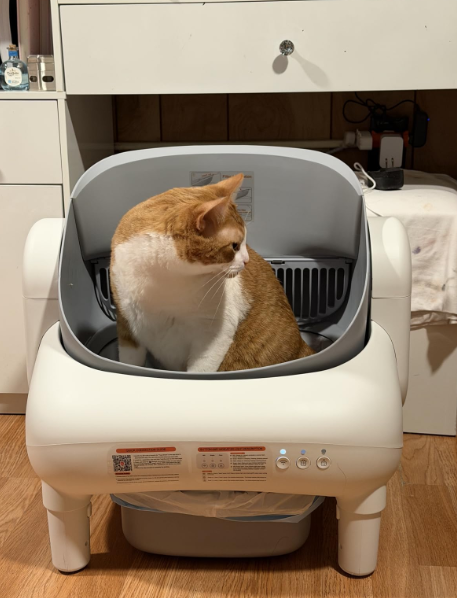 New in box Automatic Cat Litter Box