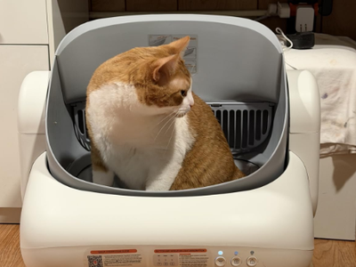 New in box Automatic Cat Litter Box