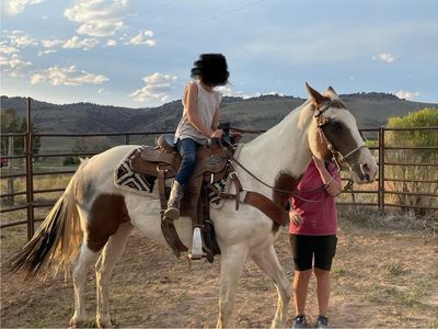 12 year old paint mare