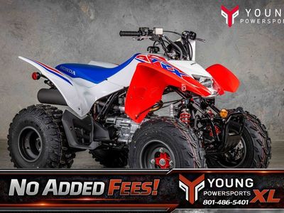 2026 Honda TRX 250X