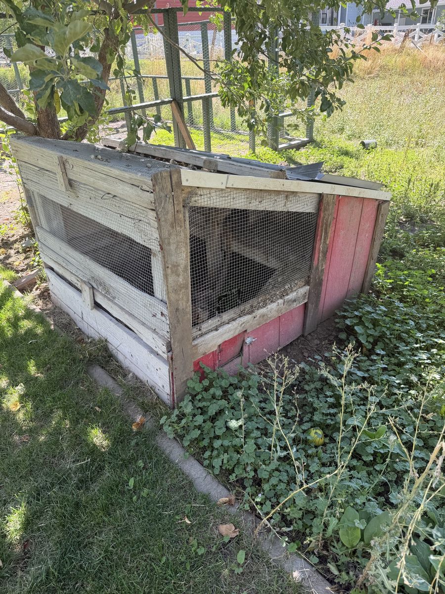 Main image 3