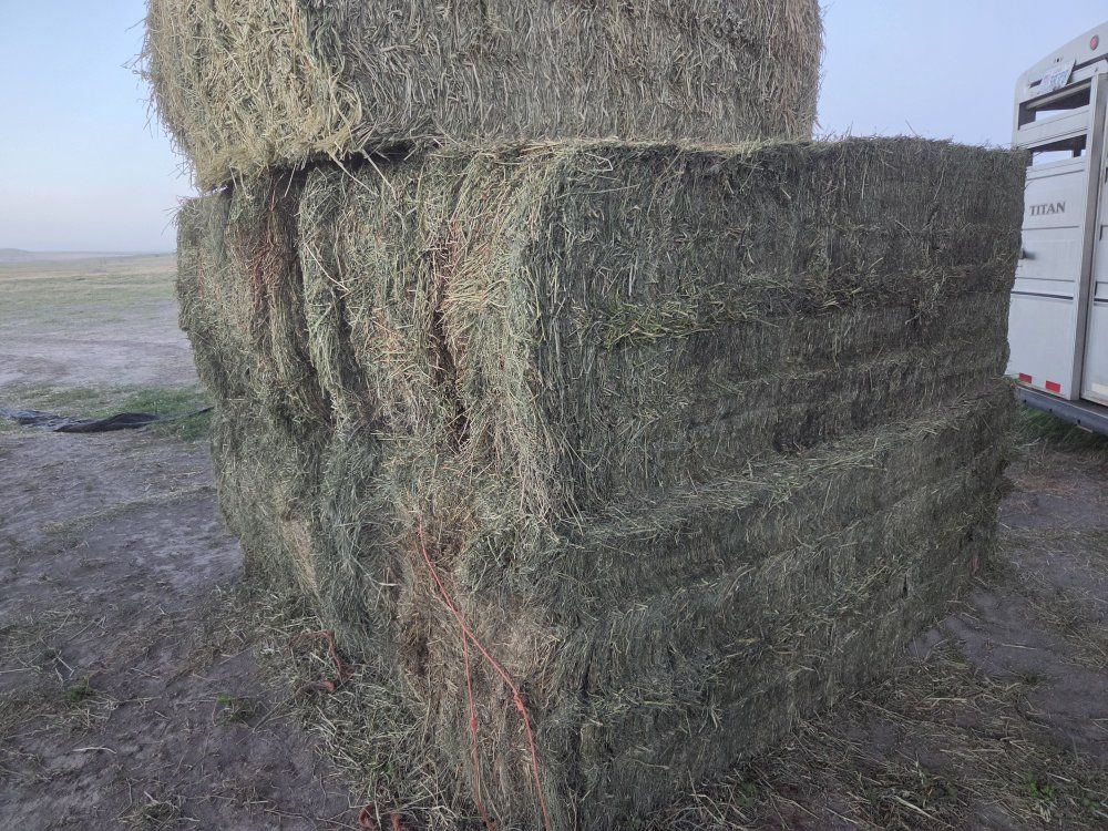 3x4 hay grass bale alfalfa 