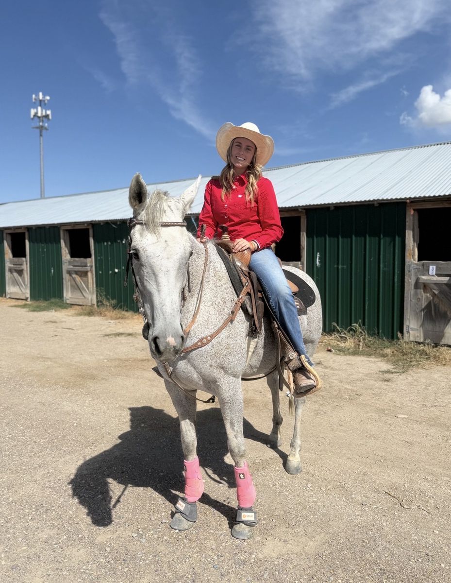 Barrel And Pole Horse!