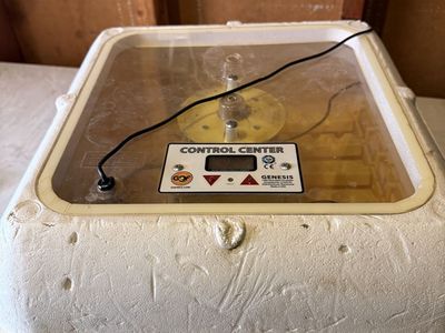 Genesis Hova-Bator 1588