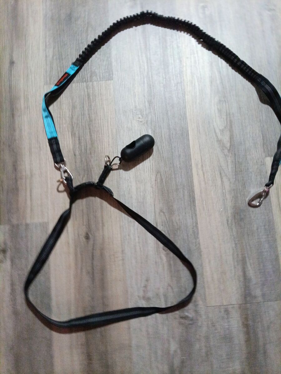 Hands free dog leash