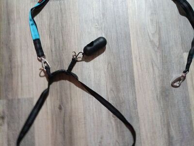 Hands free dog leash