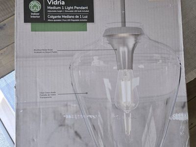 Hunter Vidria Pendant Light