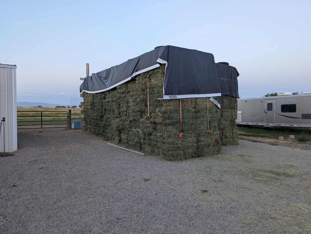Main image 2