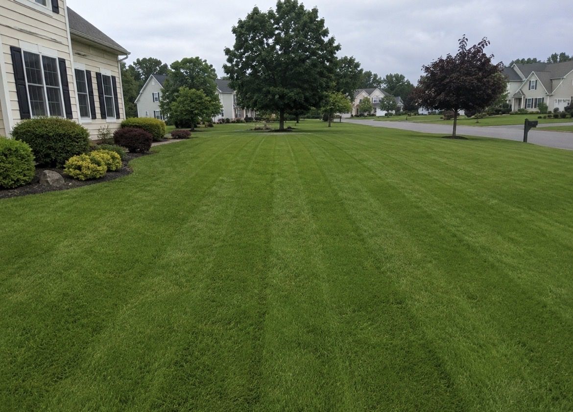 Grass cutting