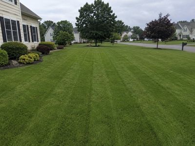 Grass cutting
