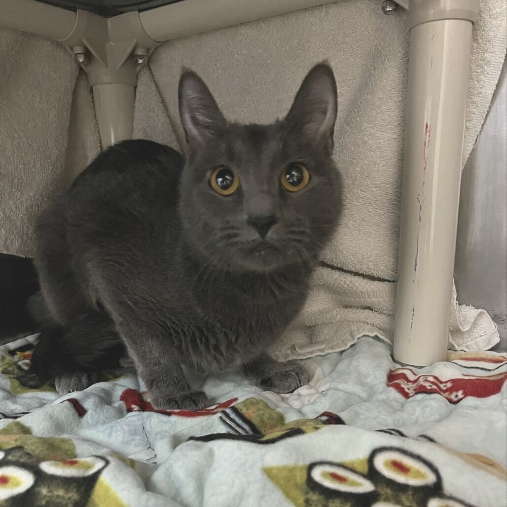 Hello my name is Gemma