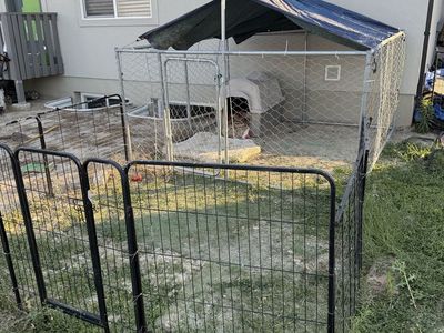 Large Outdoor Dog Kennel with Run, Chain Link, Sunshade, and Dog House - Used