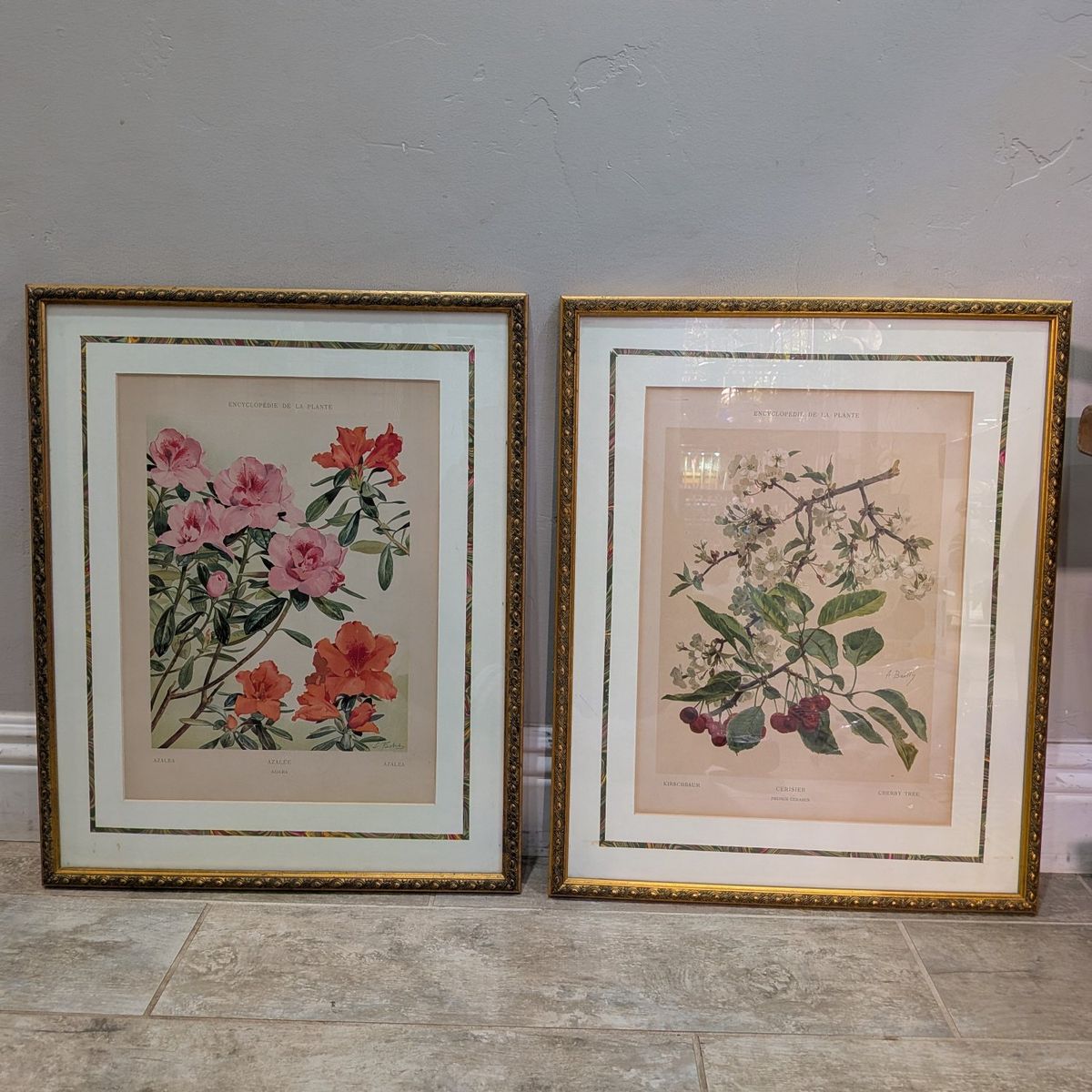 Pair of botanical prints