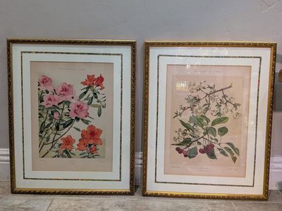 Pair of botanical prints