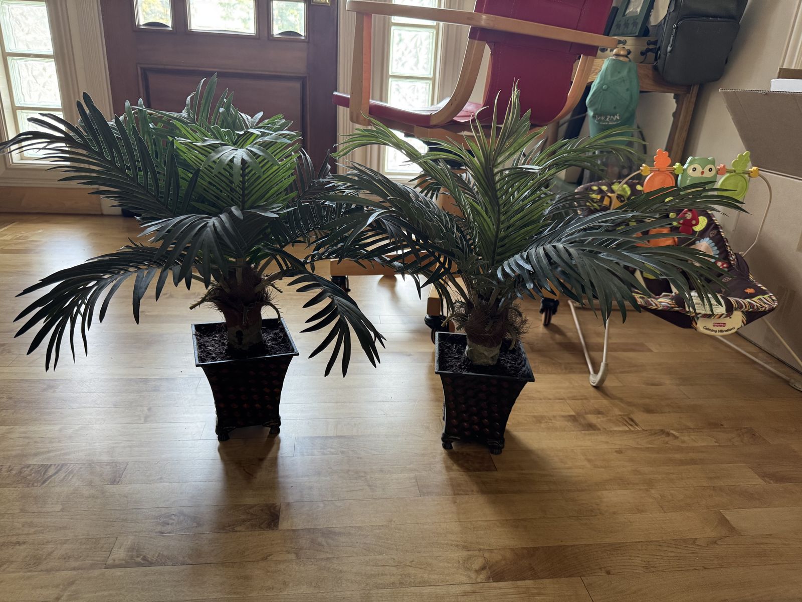 2 Silk plants