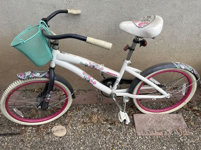 Magna Oasis Girls 20-Inch Cruiser Bicycle with Front Basket
