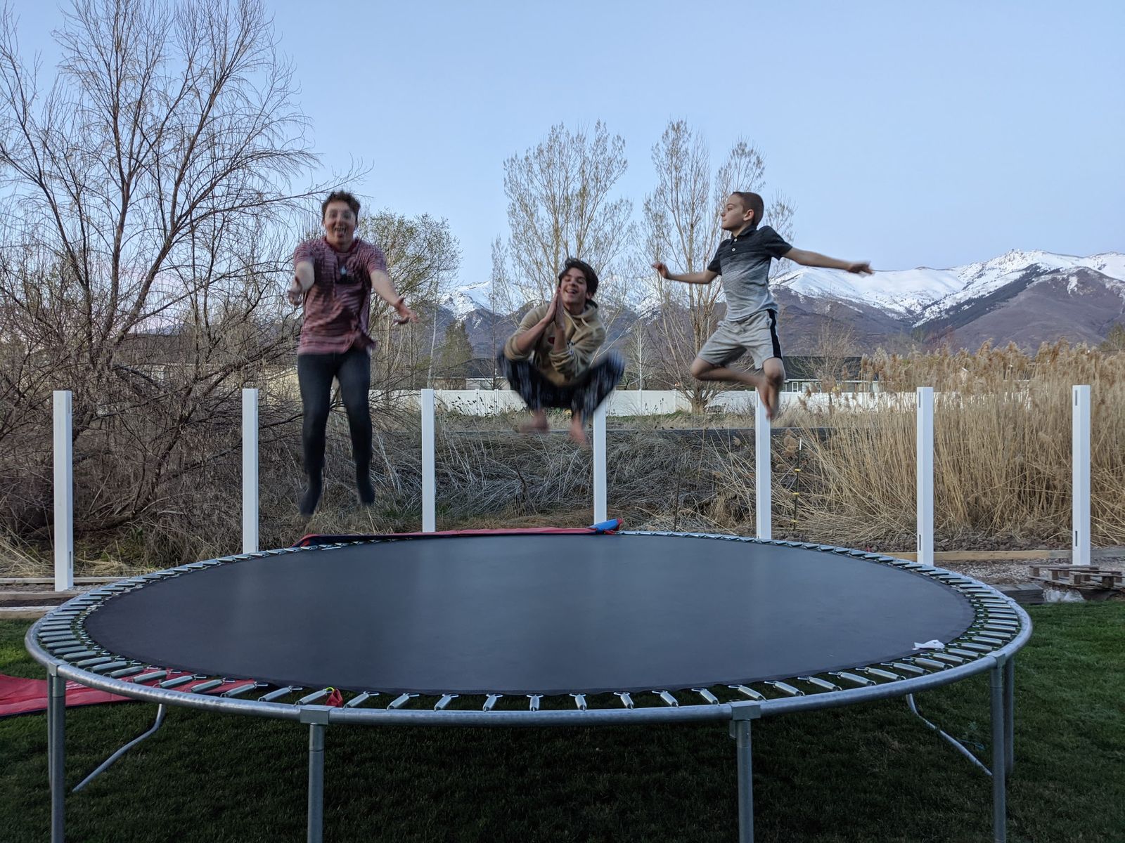 Trampoline