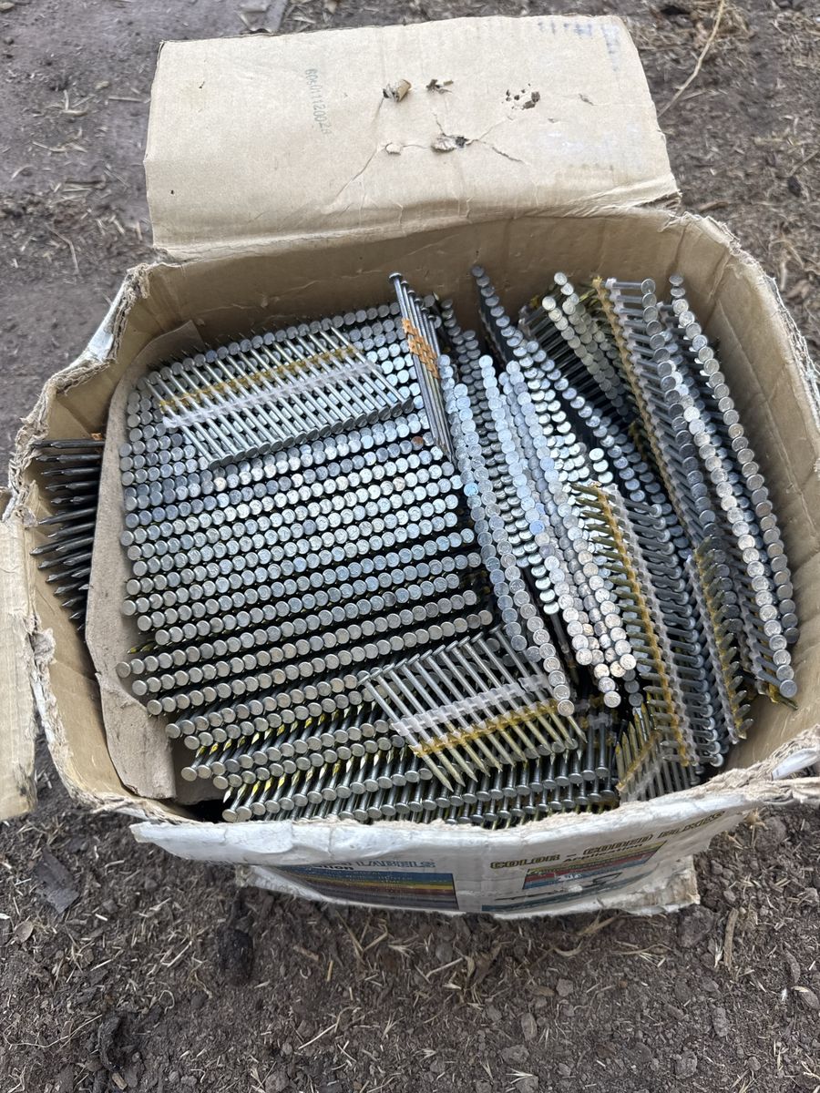 X-CELL Plastic Strip Framing Nails 3-1/4 in x .131 in 20-22 Degree Round Head
