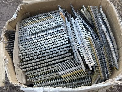 X-CELL Plastic Strip Framing Nails 3-1/4 in x .131 in 20-22 Degree Round Head
