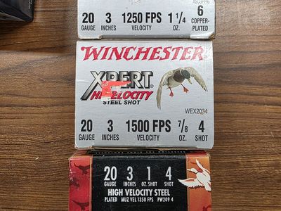 Pheasant and Duck 20 ga Shells