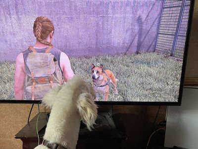 43” Samsung 2023