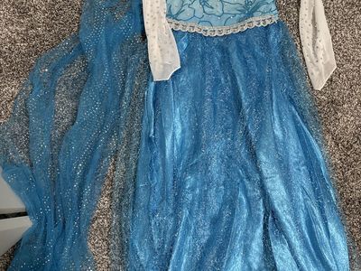Elsa costume