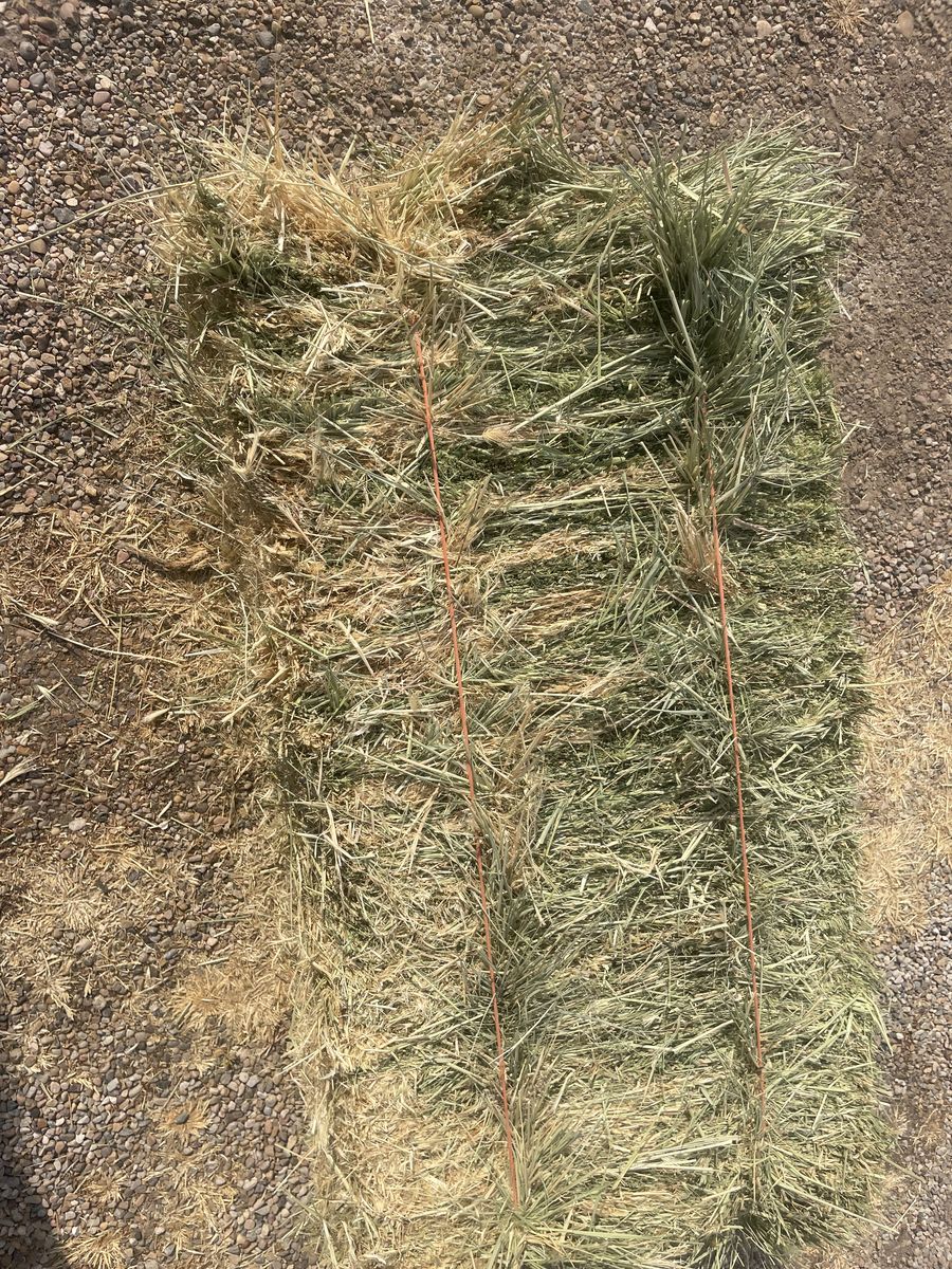 Feeder grass hay for sale