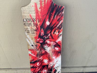 Landyatch long board