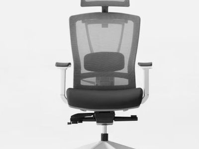New Autonomous ErgoChair Pro Office Chair
