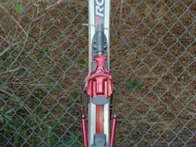 ROSSIGNOL 174 DIRTY BIRD SKIS FRANCE
Message to c