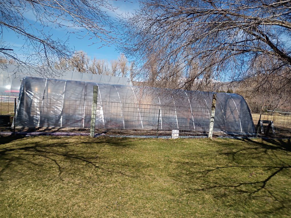 GREENHOUSE for sale