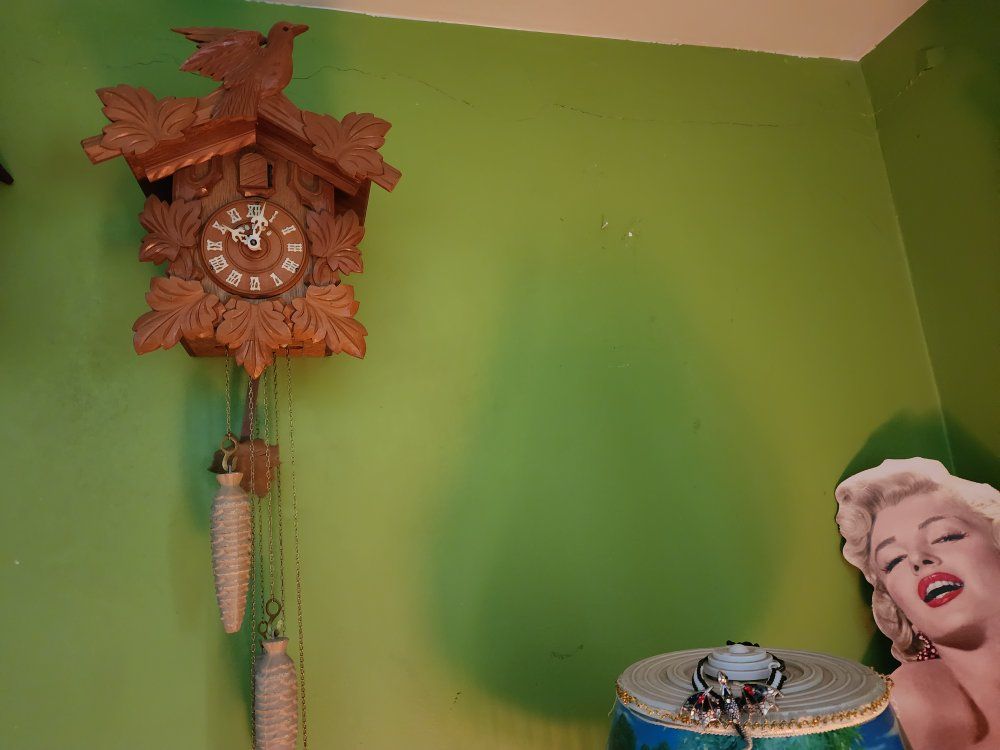 Nice Poppo Cuckoo clock