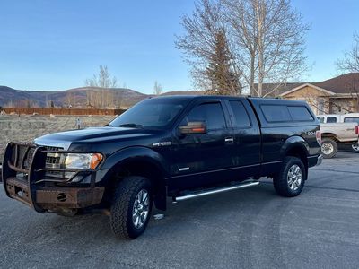 2013 FORD F150 XLT