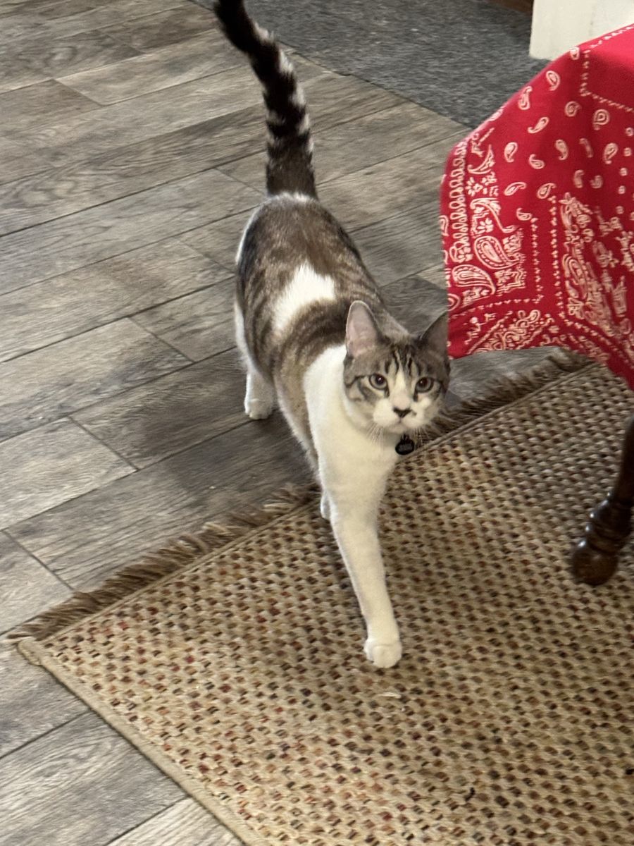 Need to rehome
