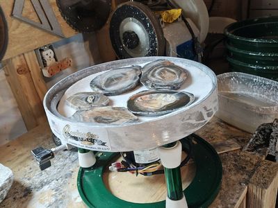 12 inch Covington vibrating flat lap
