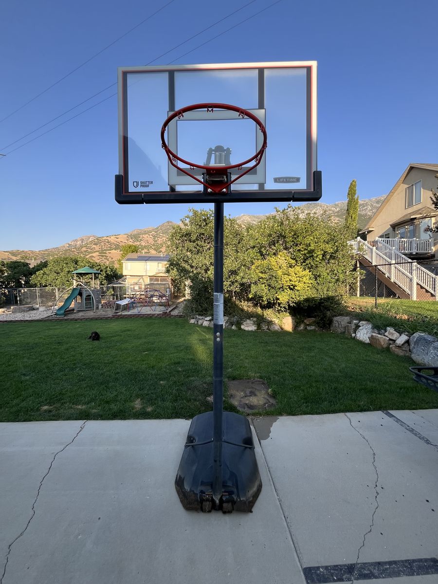 Lifetime Adjustable Basketball Standard