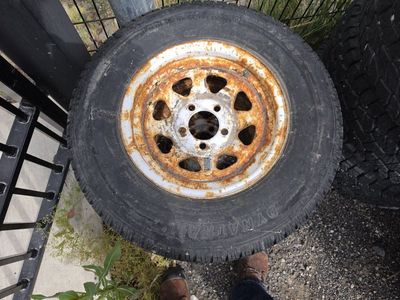 Dynatrail Trailer Tires 205/75 14