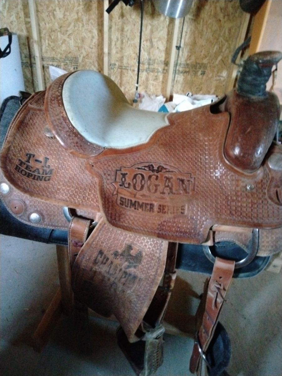 Saddle