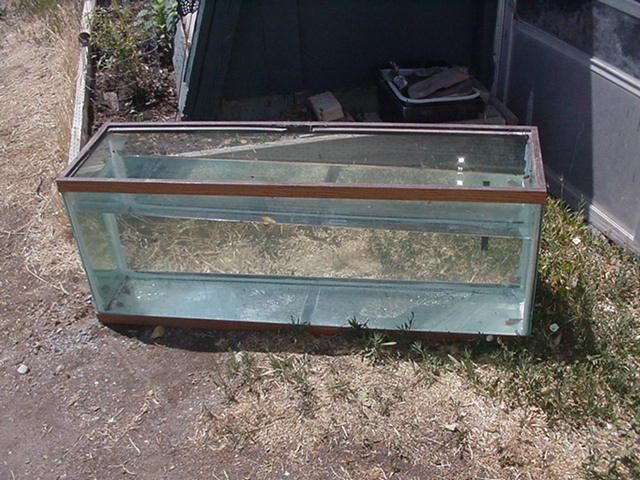 fish tank 55 gal