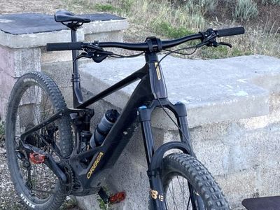 2024 Orbea Wild M10 - Size XL