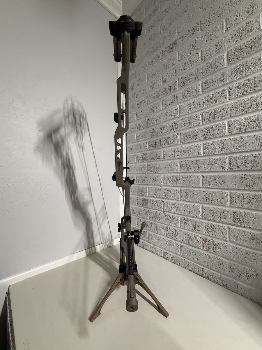 Main image 6