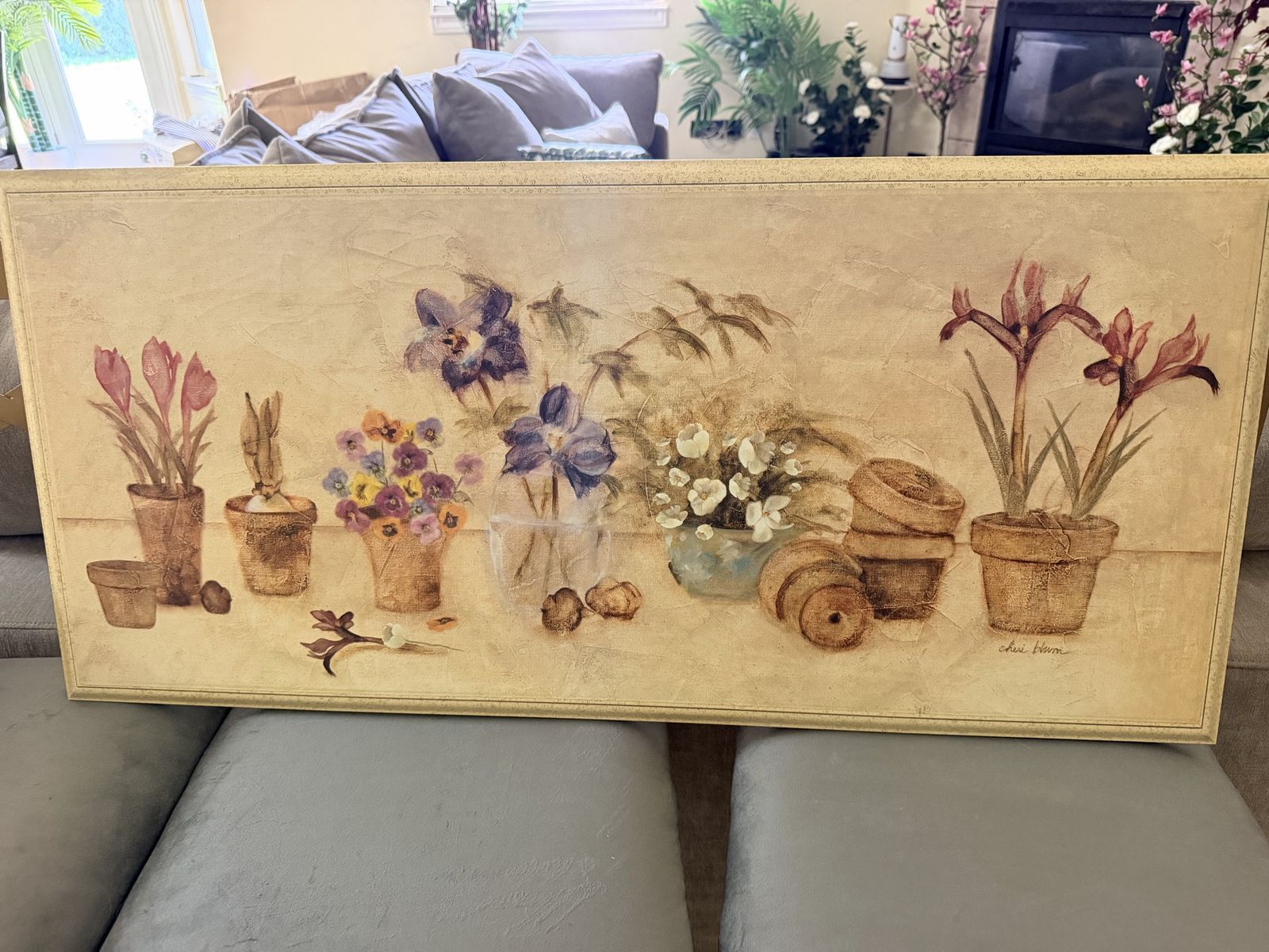 Cheri Blum Floral Botanical Potted Plants Artwork Print on Board (Approx. 37.5” x 17.5”