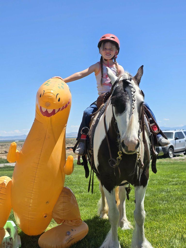 Reliable Trail Horse - Experienced & Gentle, Ideal for All Riders