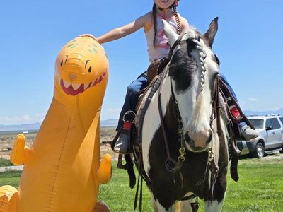 Reliable Trail Horse - Experienced & Gentle, Ideal for All Riders