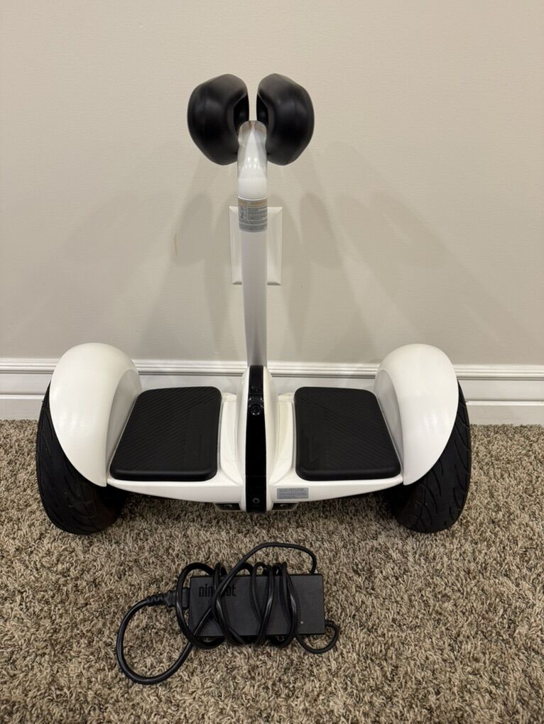 Segway Ninebot S