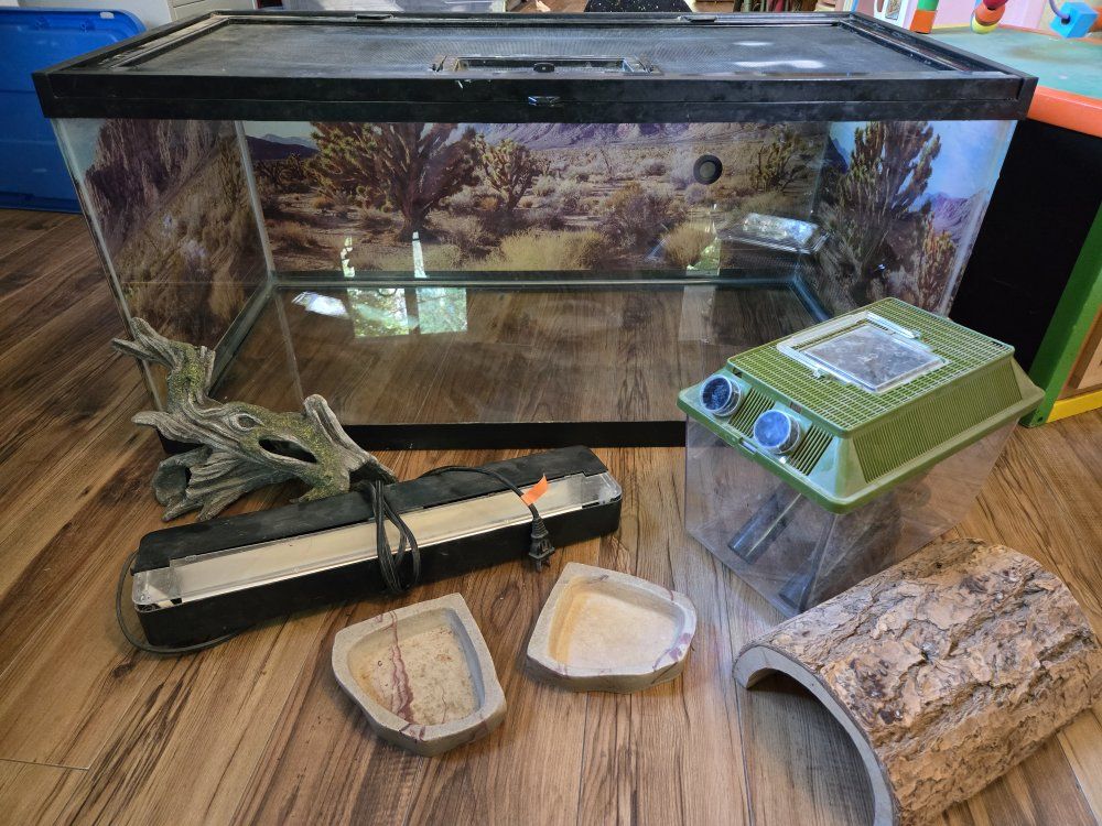 Reptile/Critter Tank & Accessories
